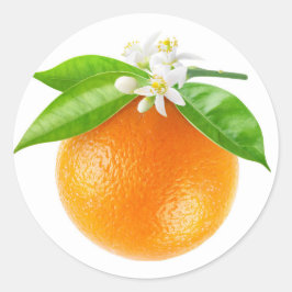 Orange frukt och blommor runt klistermärke
