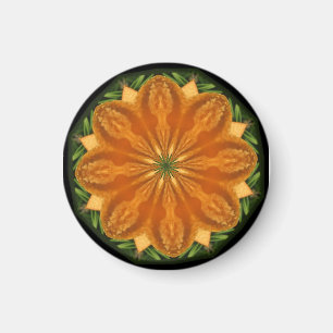 Orange fruktdryckmagnet magnet