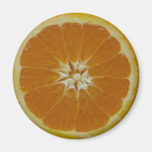Orange fruktskivamagnet magnet