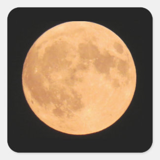 Orange fullt halloween måne fyrkantigt klistermärke
