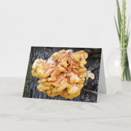 Orange Fungus Kort