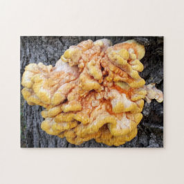 Orange Fungus Pussel