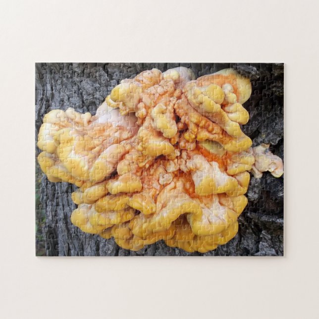 Orange Fungus Pussel (Horisontell)