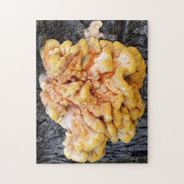 Orange Fungus Pussel