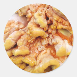 Orange Fungus Runt Klistermärke