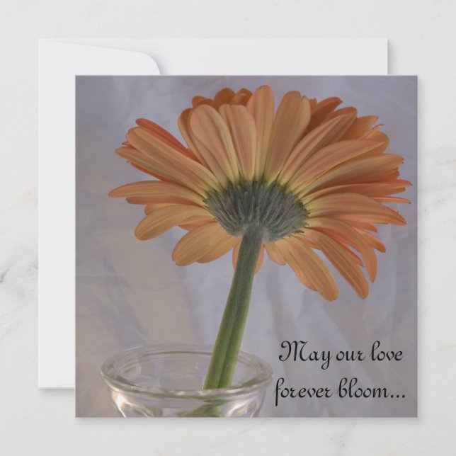 Orange Gerber Daisy Bröllop Inbjudningar (Framsida)