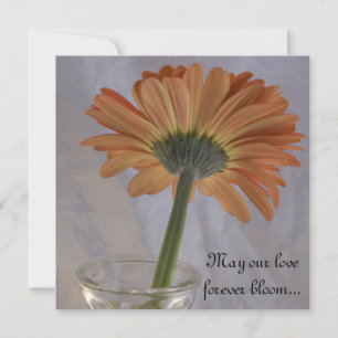 Orange Gerber Daisy Bröllop Inbjudningar