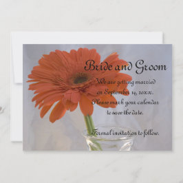 Orange Gerber Daisy i Vas Bröllop spara datum Inbjudningar