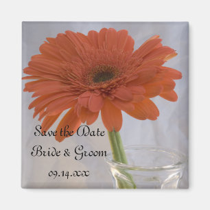 Orange Gerber Daisy i Vas Bröllop spara datum Magnet