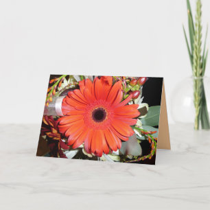 Orange Gerber daisy Kort