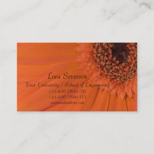 Orange Gerber Daisy Student