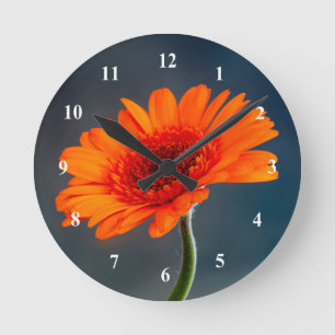 Orange Gerbera Acrylic wall klocka