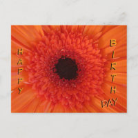 Orange Gerbera Close Grattis på födelsedagen Postc