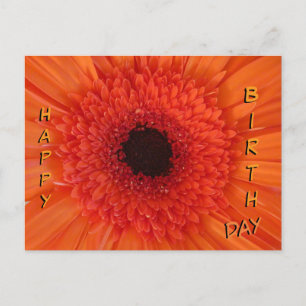 Orange Gerbera Close Grattis på födelsedagen Postc Helg Vykort