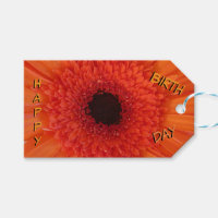 Orange Gerbera Close Up Grattis på födelsedagen Gi