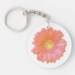 Orange gerbera daisy