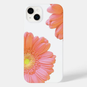 Orange gerbera daisy