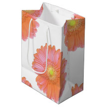 Orange gerbera daisy
