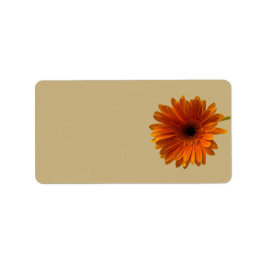 Orange Gerbera Daisy Blank Bröllop Adressetiketter