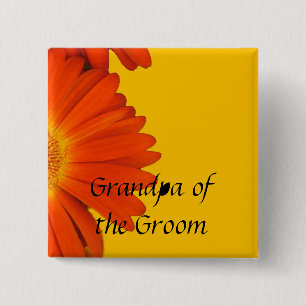 orange gerbera daisy blommor. knapp