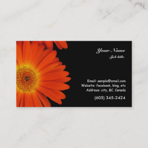orange gerbera daisy blommor visitkort