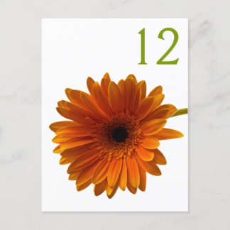 Orange Gerbera Daisy Bordsnummer Card