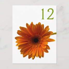 Orange Gerbera Daisy Bordsnummer Card