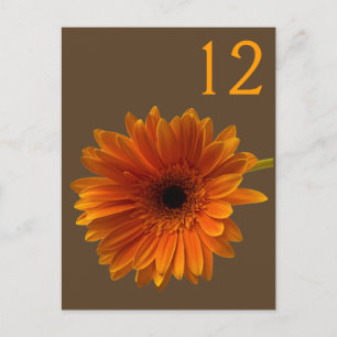 Orange Gerbera Daisy Bordsnummer Card