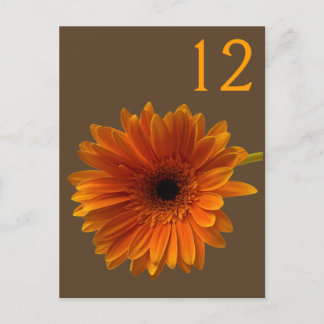 Orange Gerbera Daisy Bordsnummer Card