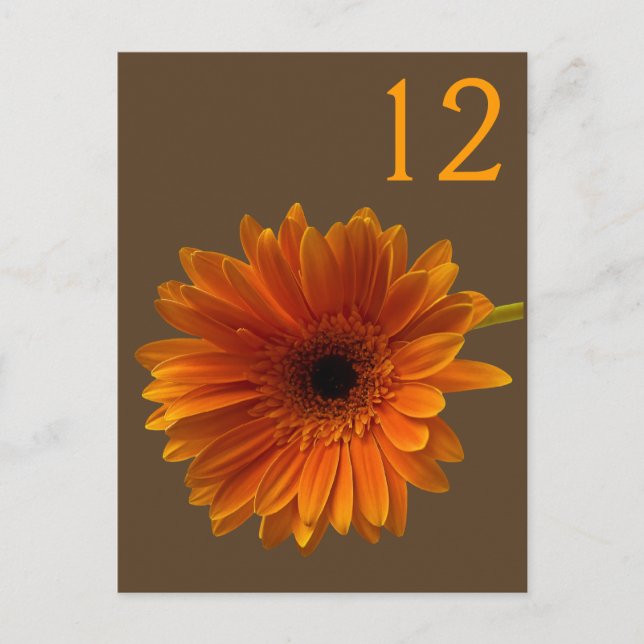 Orange Gerbera Daisy Bordsnummer Card (Framsida)