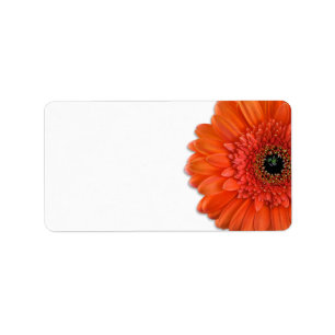 Orange Gerbera Daisy Bröllop Blank Adressetiketter
