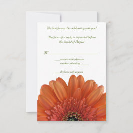 Orange Gerbera Daisy Bröllops Svar RSVP Kort