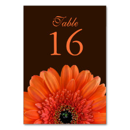 Orange Gerbera Daisy Brown Bröllop Bordsnummer