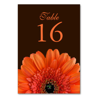 Orange Gerbera Daisy Brown Bröllop Bordsnummer