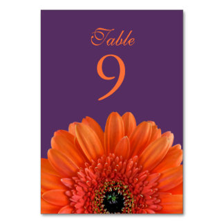 Orange Gerbera Daisy Lila Bröllop Bordsnummer