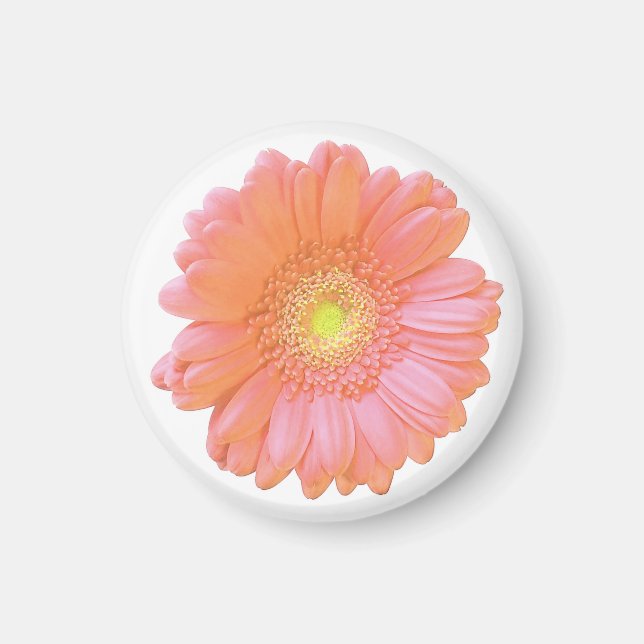Orange gerbera daisy magnet (Framsidan)