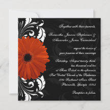 Orange Gerbera Daisy med Black and White Rulla