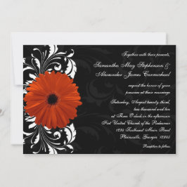 Orange Gerbera Daisy med Black and White Rulla Inbjudningar