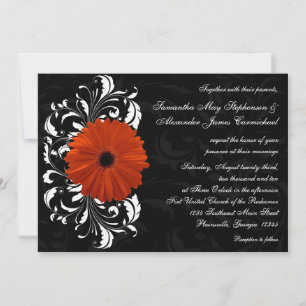 Orange Gerbera Daisy med Black and White Rulla Inbjudningar