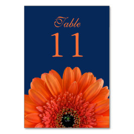 Orange Gerbera Daisy Navy Blue Bröllop Bordsnummer