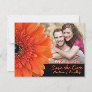 Orange Gerbera Daisy Photo Bröllop Spara Date Datumet