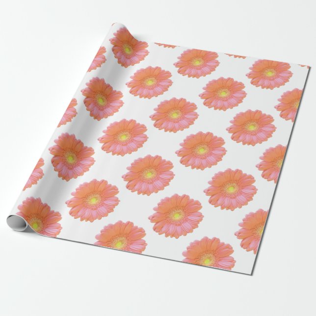 Orange gerbera daisy presentpapper (Utrullad)
