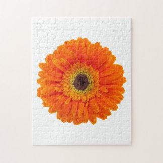 Orange Gerbera Daisy Pussel