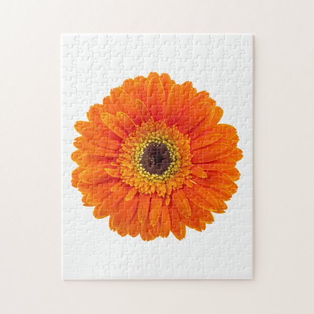 Orange Gerbera Daisy Pussel (Vertikal)