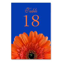 Orange Gerbera Daisy Royal Blue Bröllop Bordsnummer
