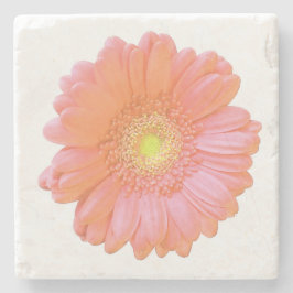 Orange gerbera daisy stenunderlägg