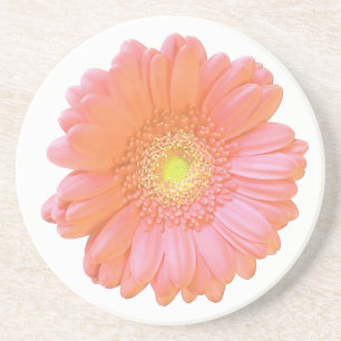 Orange gerbera daisy underlägg