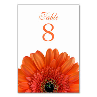 Orange Gerbera Daisy White Bröllop Bordsnummer