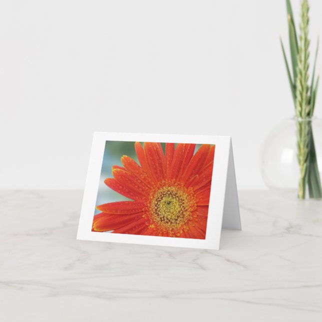 Orange Gerbera Kort (Framsida)