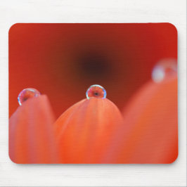 Orange Gerbera Refraction Mousepad Musmatta
